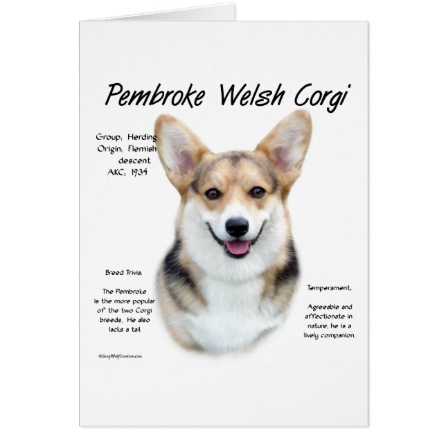 Pembroke Welsh Corgi History Design (Front)
