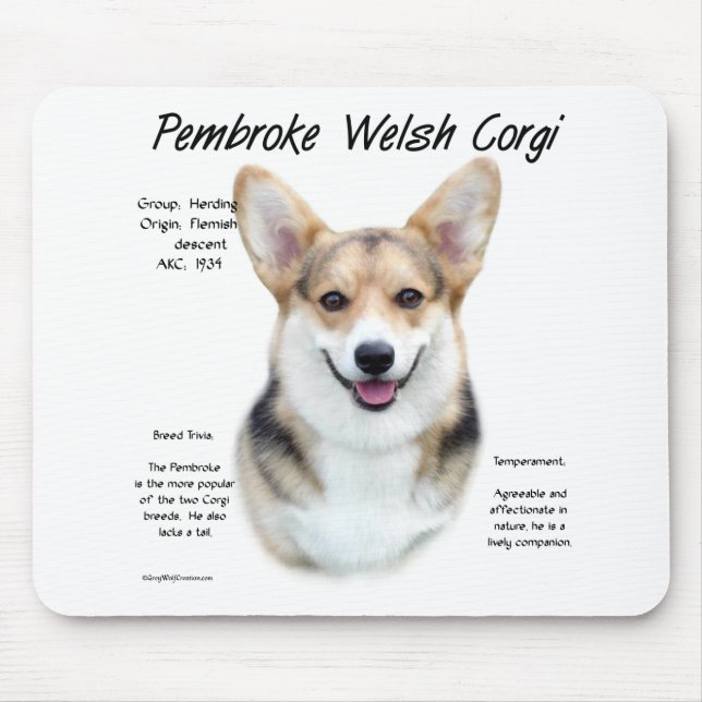 Pembroke Welsh Corgi History Design Mouse Pad (Front)