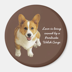 Pembroke Welsh Corgi Joyeux Aimant