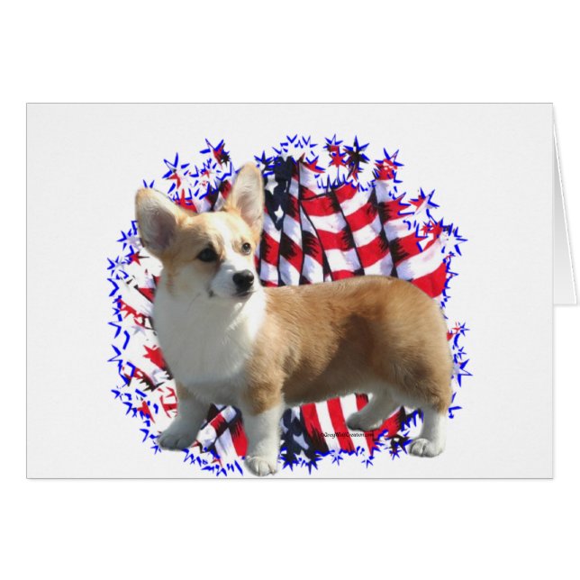 Pembroke Welsh Corgi Patriot (Front Horizontal)