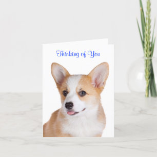 Pembroke Welsh Corgi Penser À Votre Carte De Voeux