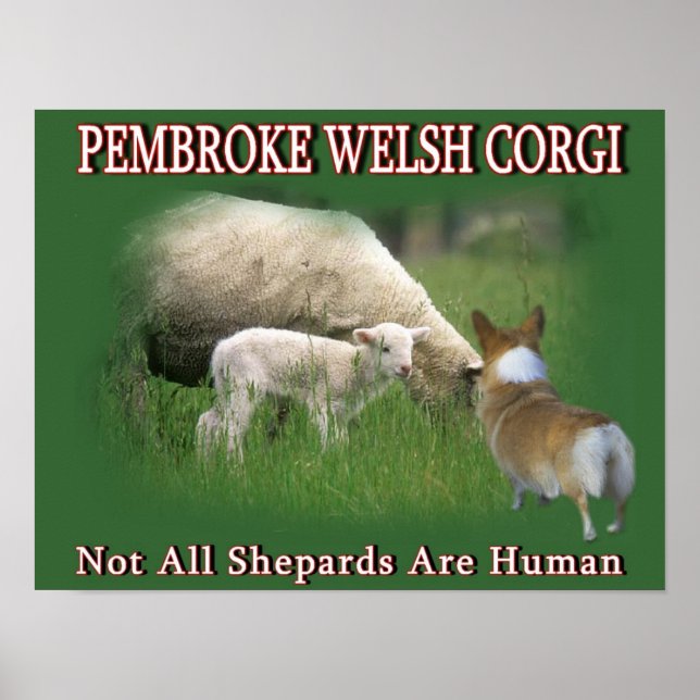 PEMBROKE WELSH CORGI POSTER (Front)
