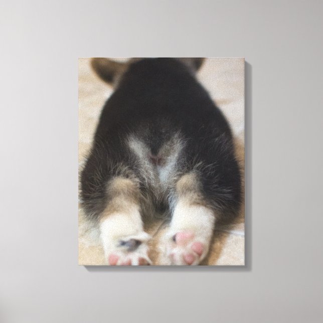 Pembroke Welsh Corgi Puppy 2 Canvas Print (Front)