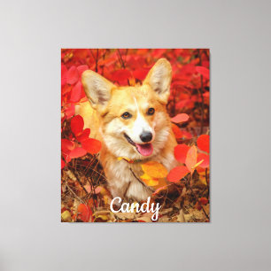 Pembroke Welsh Corgi Puppy Dog in Red Leaves Canvas Print