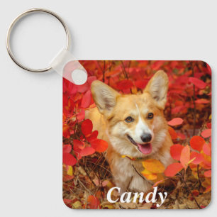 Pembroke Welsh Corgi Puppy Dog in Red Leaves Keychain