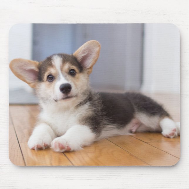 Pembroke Welsh Corgi Puppy Mouse Pad (Front)