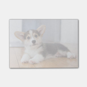 Pembroke Welsh Corgi Puppy Post-it Notes