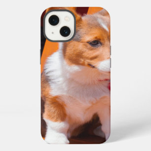Pembroke Welsh Corgi puppy sitting in park bench iPhone 13 Case