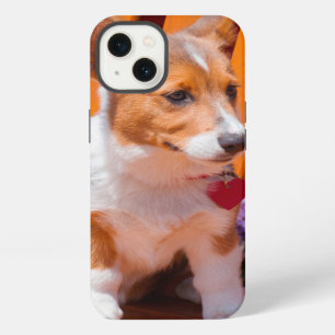 Pembroke Welsh Corgi puppy sitting in park bench iPhone 13 Case