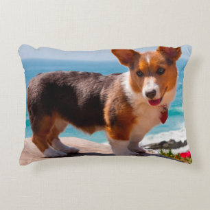 Pembroke Welsh Corgi puppy standing on table Decorative Pillow