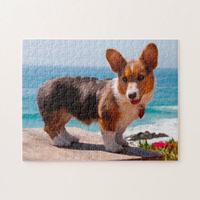 Pembroke Welsh Corgi puppy standing on table Jigsaw Puzzle (Horizontal)