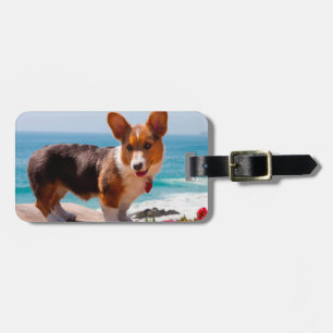 Pembroke Welsh Corgi puppy standing on table Luggage Tag