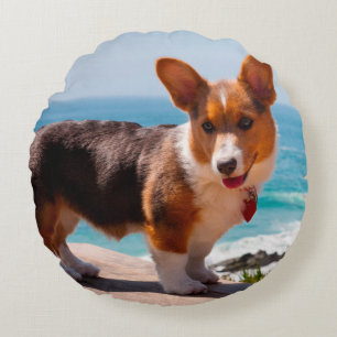 Pembroke Welsh Corgi puppy standing on table Round Pillow