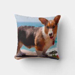 Pembroke Welsh Corgi puppy standing on table Throw Pillow