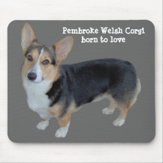 Pembroke Welsh Corgi Soulful Mousepad