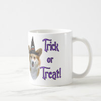 Pembroke Welsh Corgi Trick