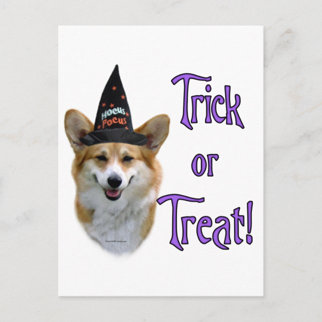 Pembroke Welsh Corgi Trick Postcard (Front)