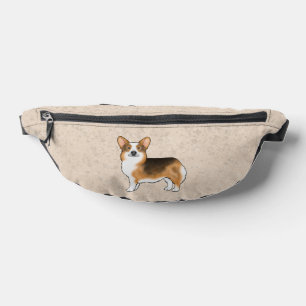 Pembroke Welsh Corgi tricolore à tête rousse