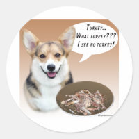 Pembroke Welsh Corgi Turkey