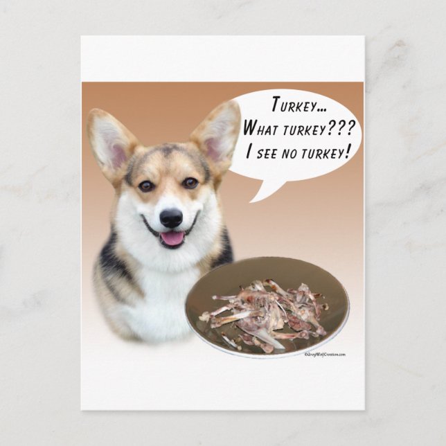 Pembroke Welsh Corgi Turkey Postcard (Front)