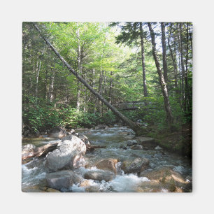 Pemigewasset River Bridge in New Hampshire Magnet