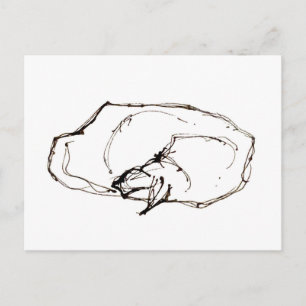 Pen and Ink Art Sleeping Cat Drawing Postcard