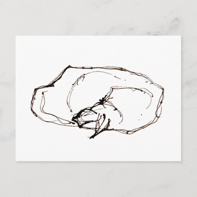 Pen and Ink Art Sleeping Cat Drawing Postcard (Front)