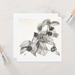 Pen and Ink Blackberries Card