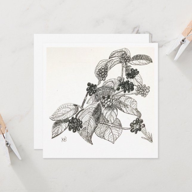 Pen and Ink Blackberries Card (Front/Back In Situ)