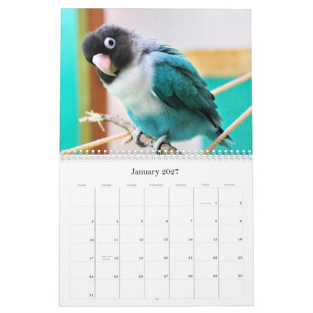 Pence-Pico lovebirds Calendar (Jan 2027)