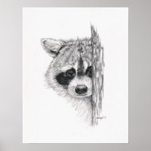 Pencil Drawing 'Peeking Raccoon' Poster