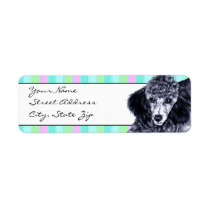 Pencil Poodle