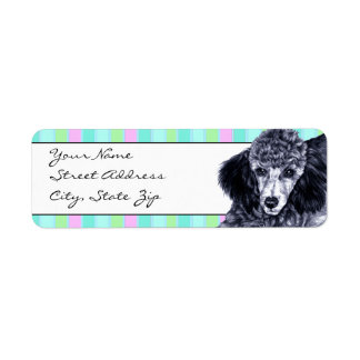 Pencil Poodle