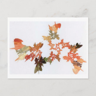 Pencil Shavings Postcard
