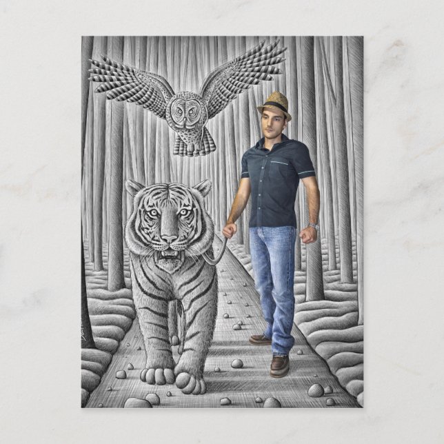 Pencil Vs Camera - Tiger, Owl, Man Postcard (Front)