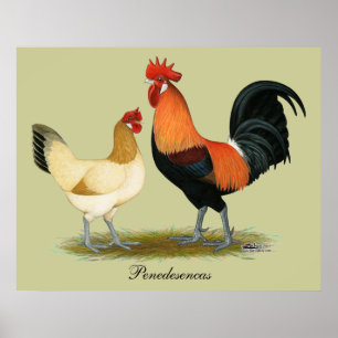 Penedesenca Chickens Poster