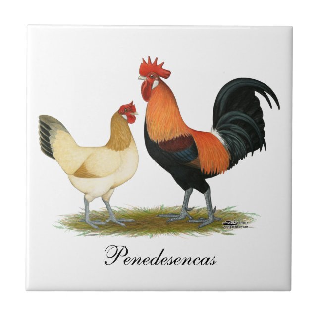 Penedesenca Chickens Tile (Front)