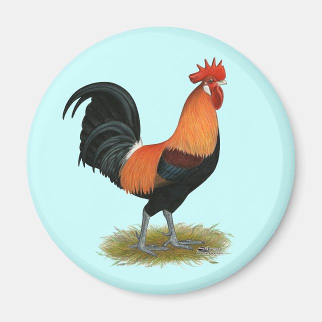 Penedesenca Rooster Magnet (Front)