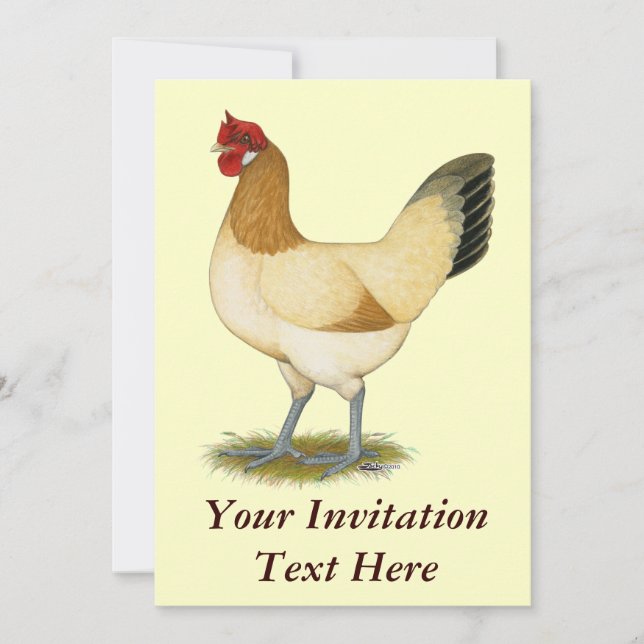 Penedesenca:  Wheaten Hen Invitation (Front)