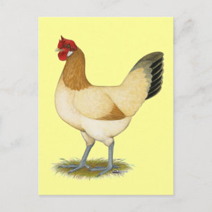 Penedesenca: Wheaten Hen Postcard