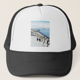 Pengiuns on a beach trucker hat