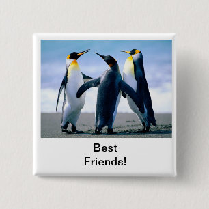 penguin 2 inch square button