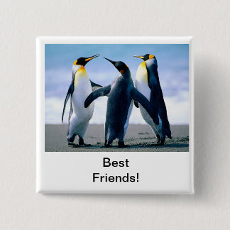penguin 2 inch square button