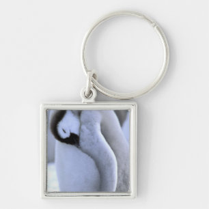 Penguin Antarctic Peninsula, Weddell Sea Keychain