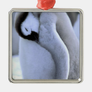 Penguin Antarctic Peninsula, Weddell Sea Metal Ornament