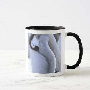 Penguin   Antarctic Peninsula, Weddell Sea Mug