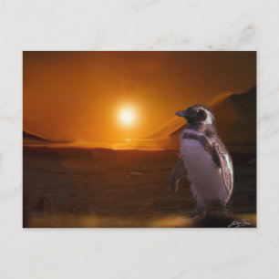 Penguin & Antarctic Sunset Art Postcard