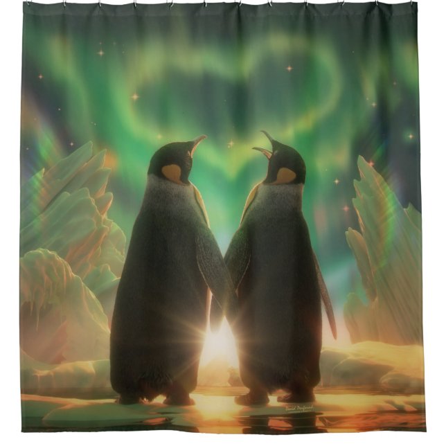 Penguin Aurora (Front)