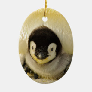Penguin baby ceramic ornament
