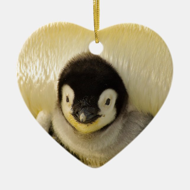 Penguin baby ceramic ornament (Front)